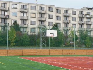 Basketbalová konštrukcia DOR-SPORT, priehradová, pevná, vys. 4500